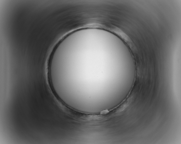 X0000089831430200707191818