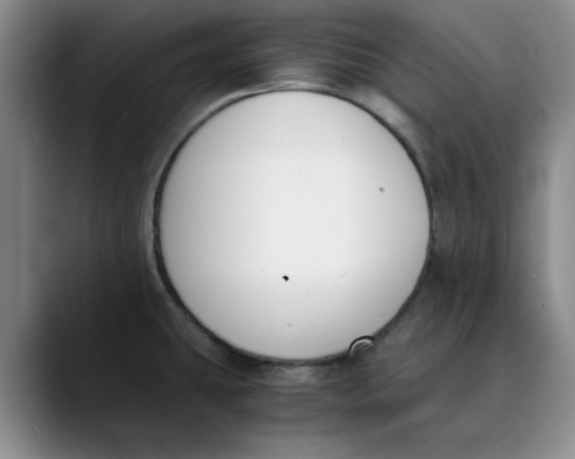 X0000089831431200707191818