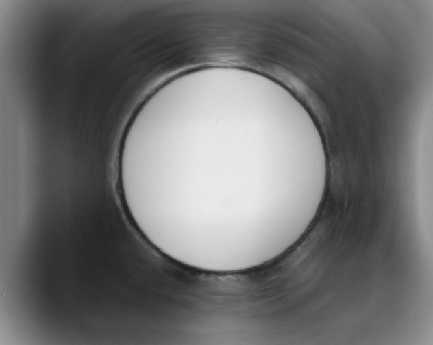 X0000089831432200707191818