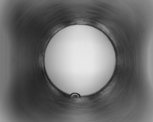 X0000089831433200707191818