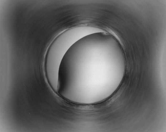 X0000089831434200707191818