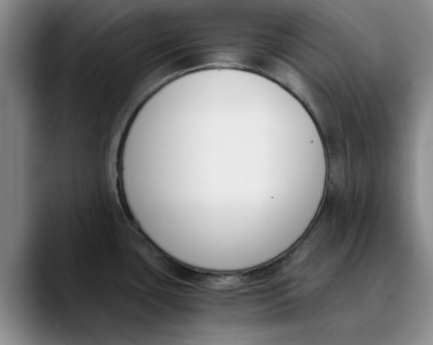 X0000089831435200707191818