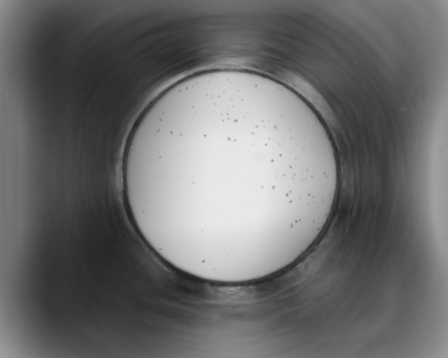 X0000089831436200707191818