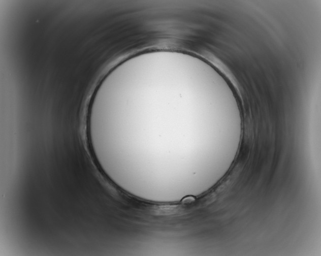 X0000089831437200707191818