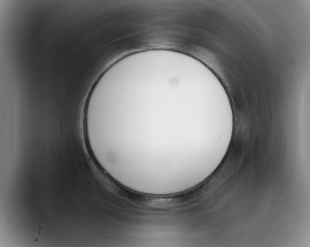 X0000089831439200707191818