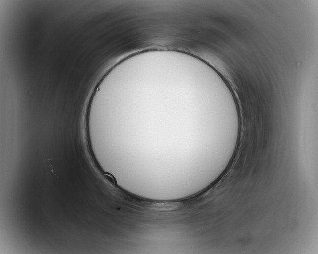 X0000089831440200707191818