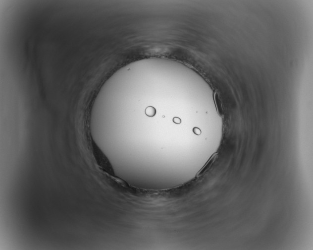 X0000089831441200707191817