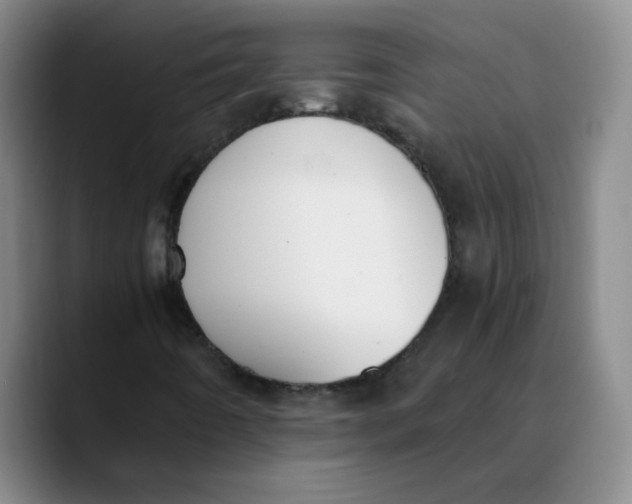 X0000089831442200707191817