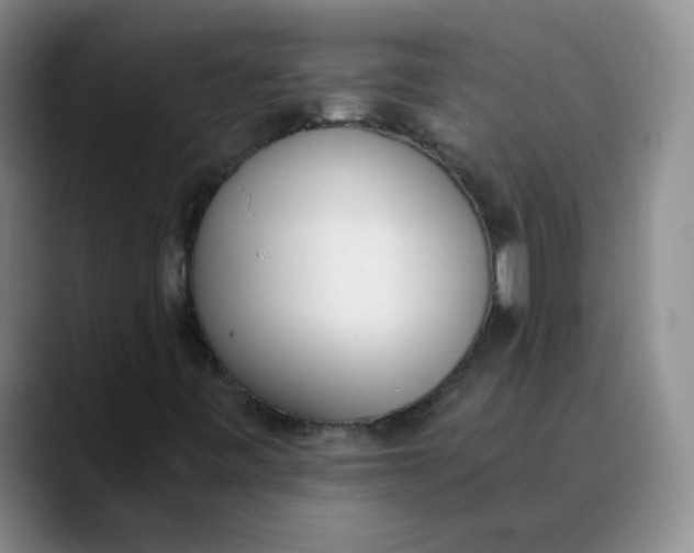 X0000089831443200707191817