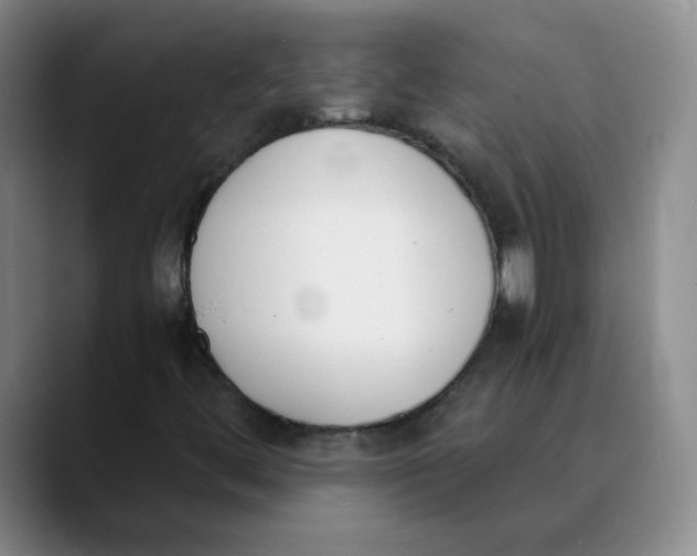 X0000089831444200707191817