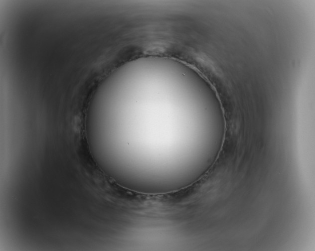 X0000089831445200707191817