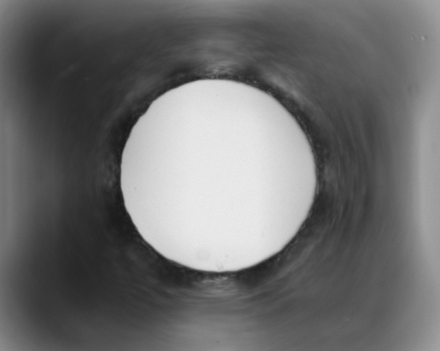 X0000089831447200707191817