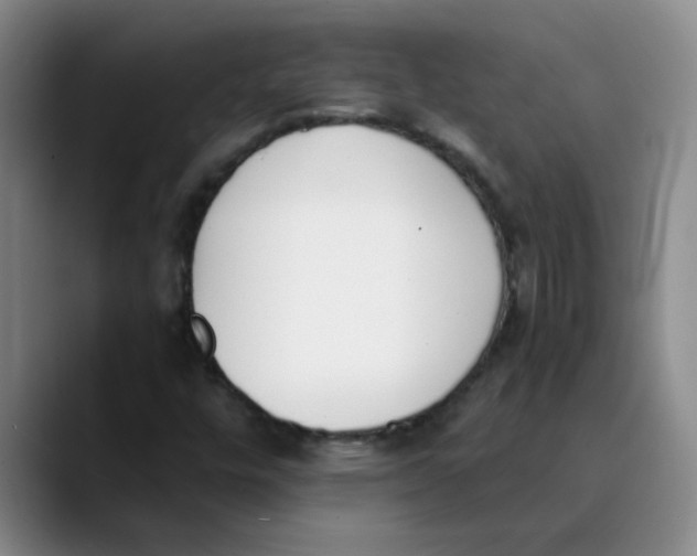 X0000089831448200707191817