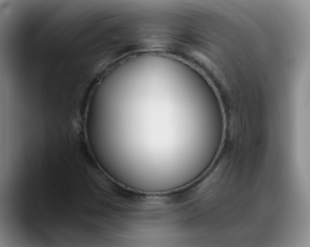 X0000089831449200707191817