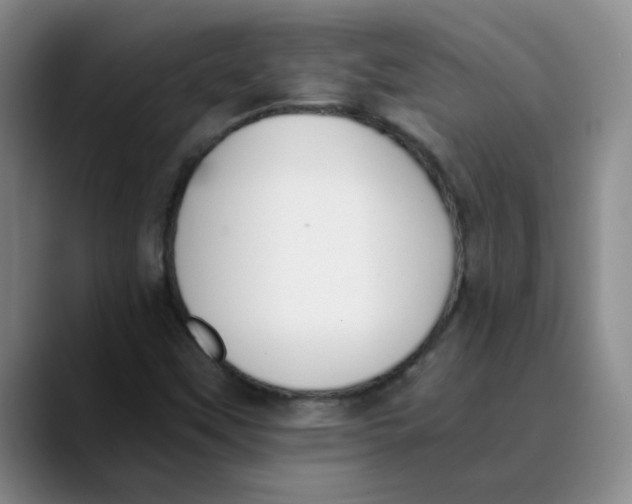 X0000089831451200707191817