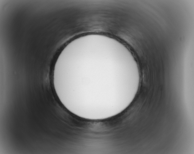 X0000089831452200707191817