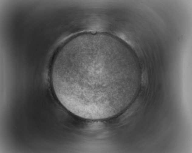 X0000089831454200707191817