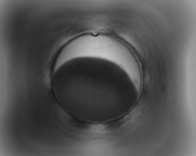 X0000089831455200707191817