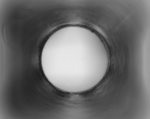 X0000089831456200707191817