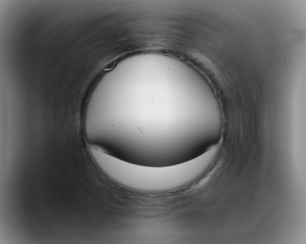 X0000089831457200707191817