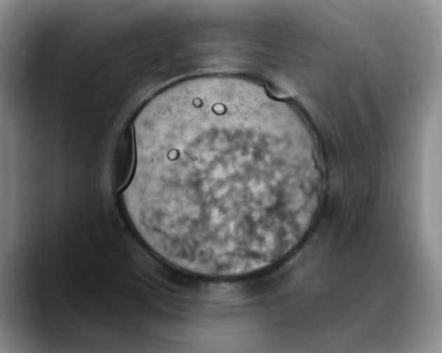 X0000089831459200707191817