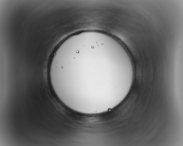 X0000089831460200707191817