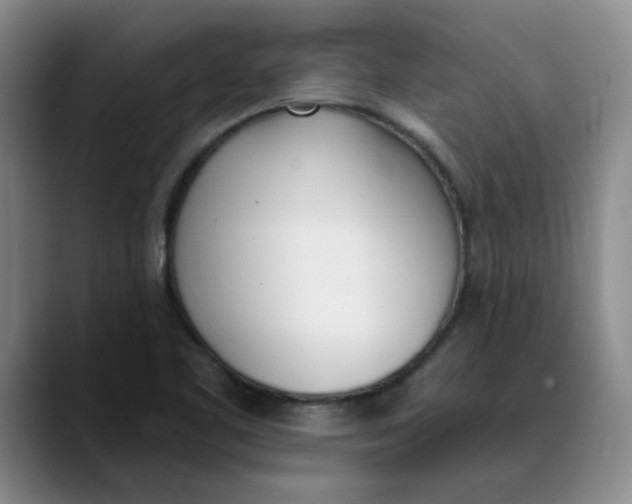 X0000089831461200707191817