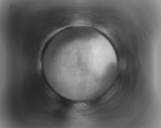 X0000089831462200707191817