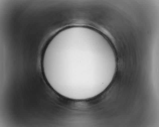 X0000089831464200707191817