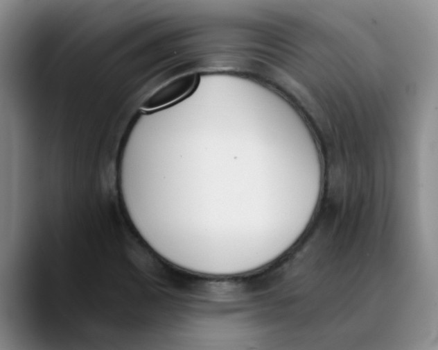 X0000089831465200707191817