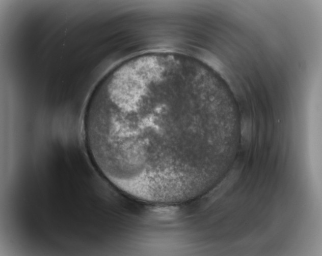 X0000089831466200707191817