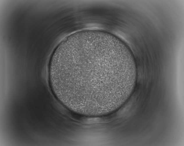 X0000089831467200707191817