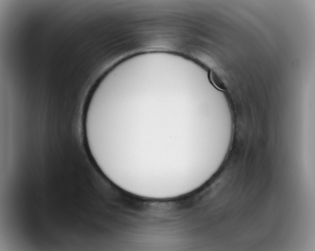 X0000089831469200707191817