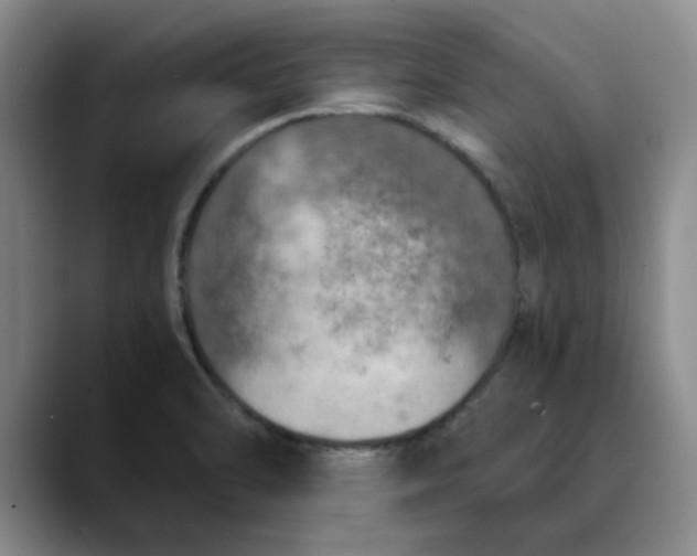 X0000089831470200707191817