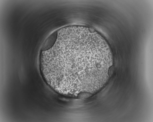 X0000089831471200707191817