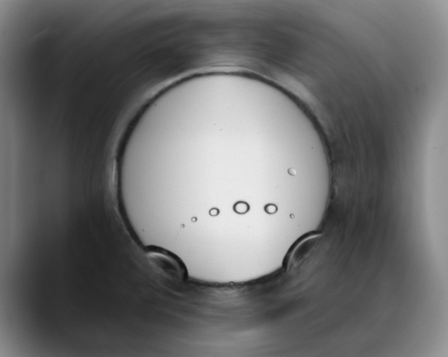 X0000089831472200707191817