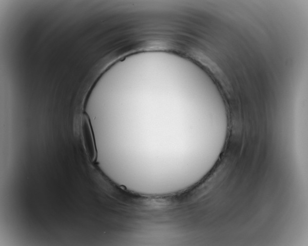 X0000089831473200707191817