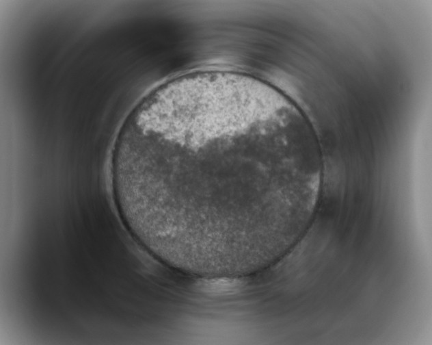 X0000089831474200707191817