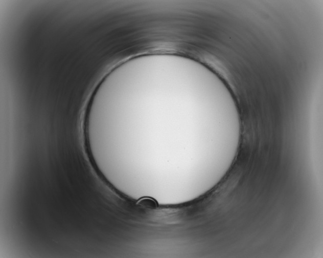 X0000089831475200707191817