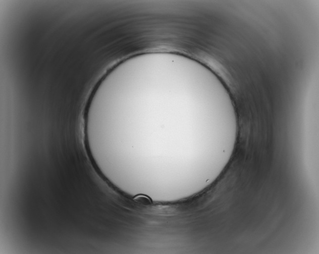 X0000089831476200707191817