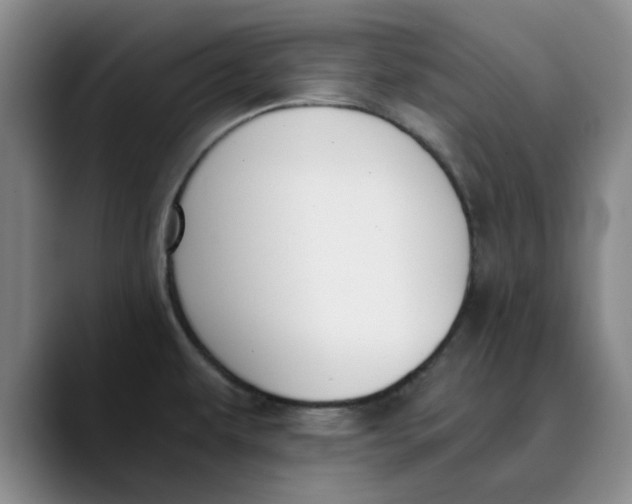 X0000089831479200707191817