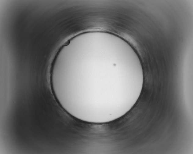 X0000089831480200707191817