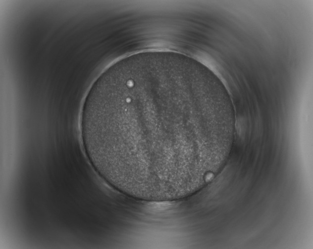 X0000089831482200707191817