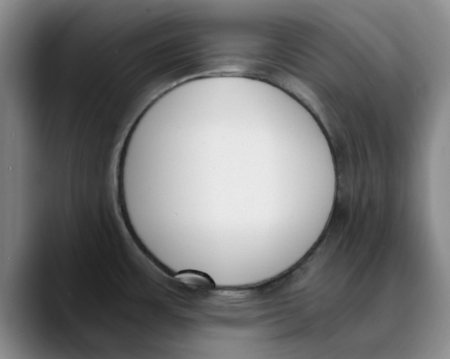 X0000089831483200707191817