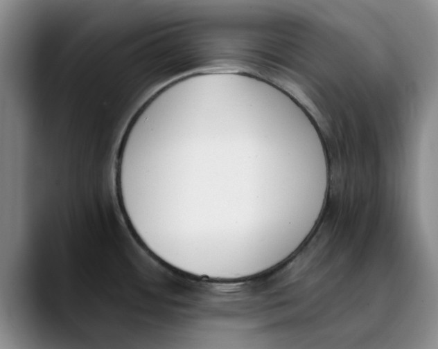 X0000089831484200707191817