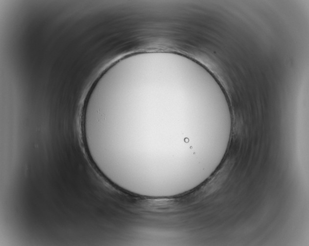 X0000089831486200707191817