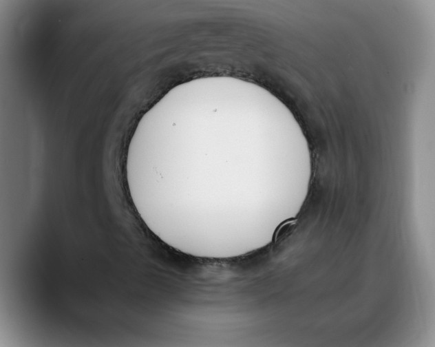 X0000089831489200707191816