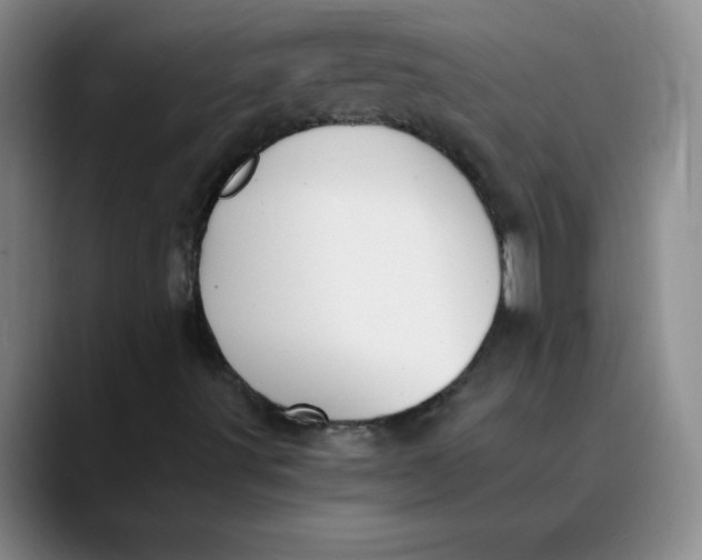 X0000089831491200707191816