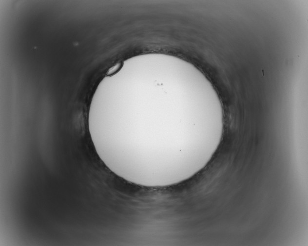 X0000089831493200707191816