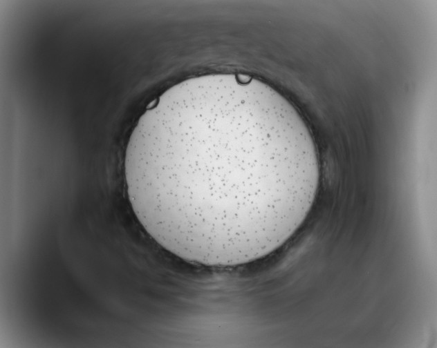 X0000089831494200707191816